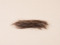 Hair