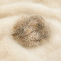 Fur